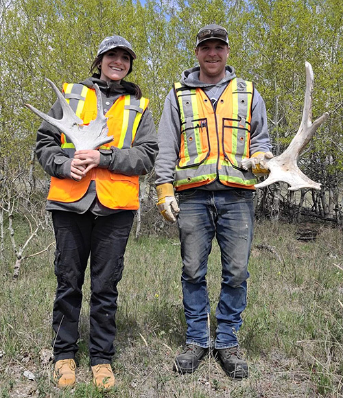 Field staff member from Salix Resource Management Ltd. holds a tumble weed over their head